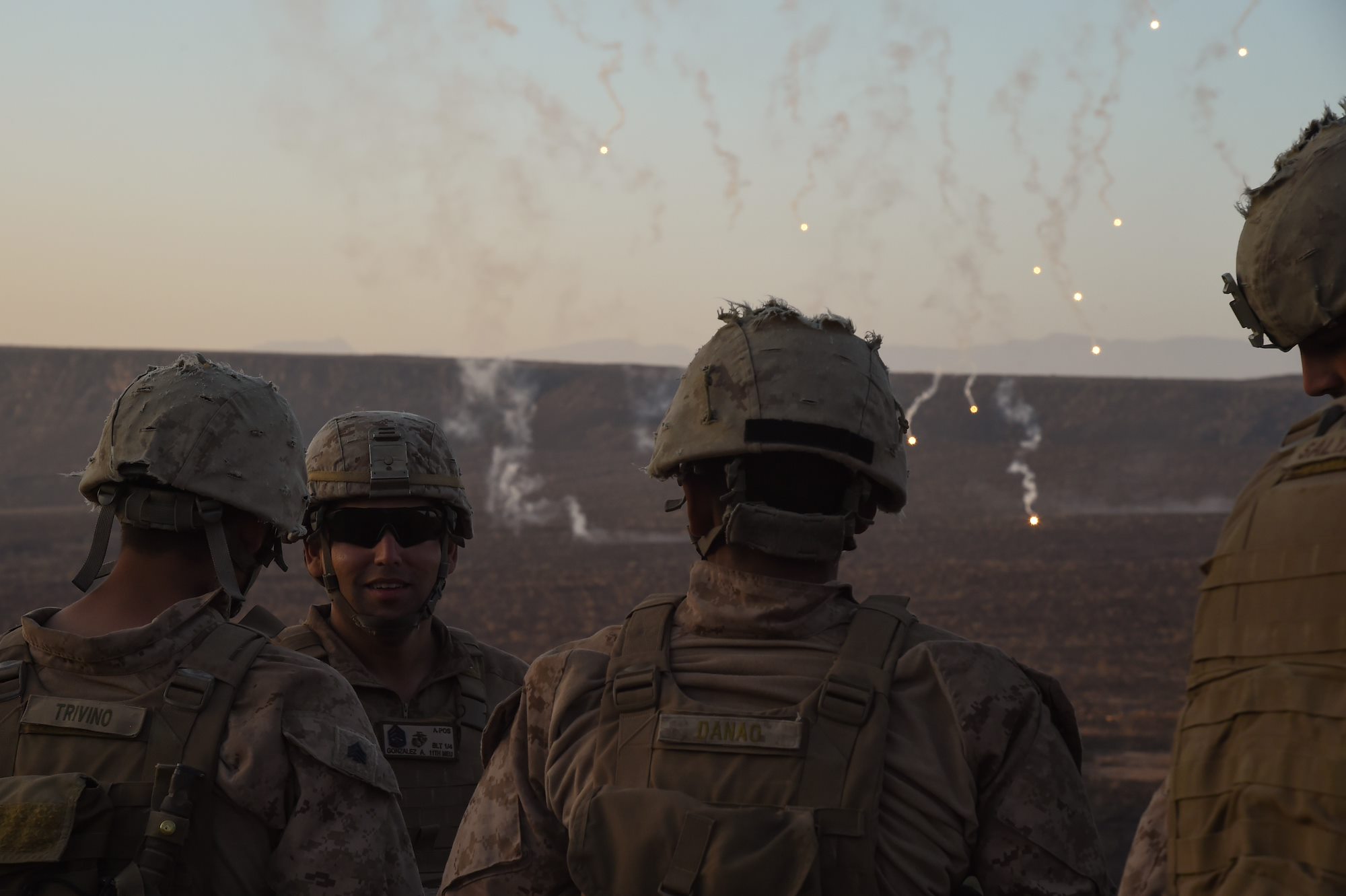 Bilateral training during Exercise Alligator Dagger