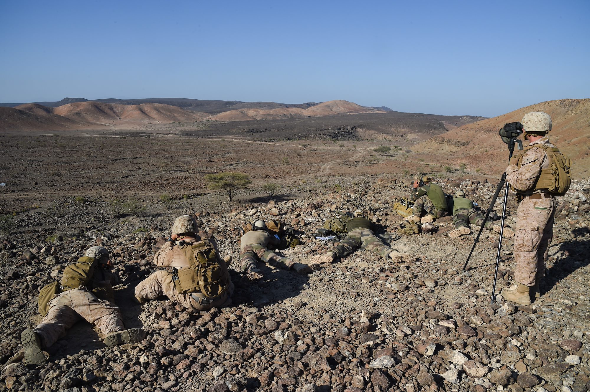 Bilateral training during Exercise Alligator Dagger