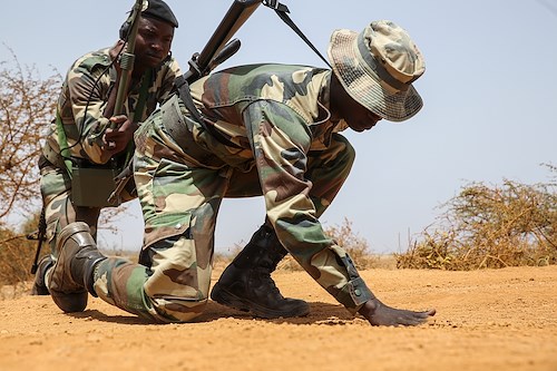 Road to peace: Senegalese, U.S. Marines strengthen peacekeeping abilities in Africa