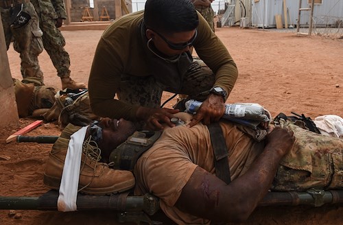 U.S., French partners hone medical evacuation readiness in Djibouti