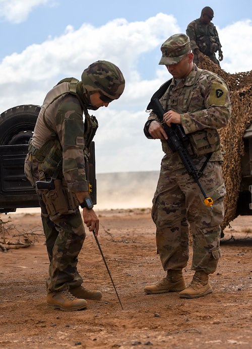 US service members hunker down for French Desert Commando Course