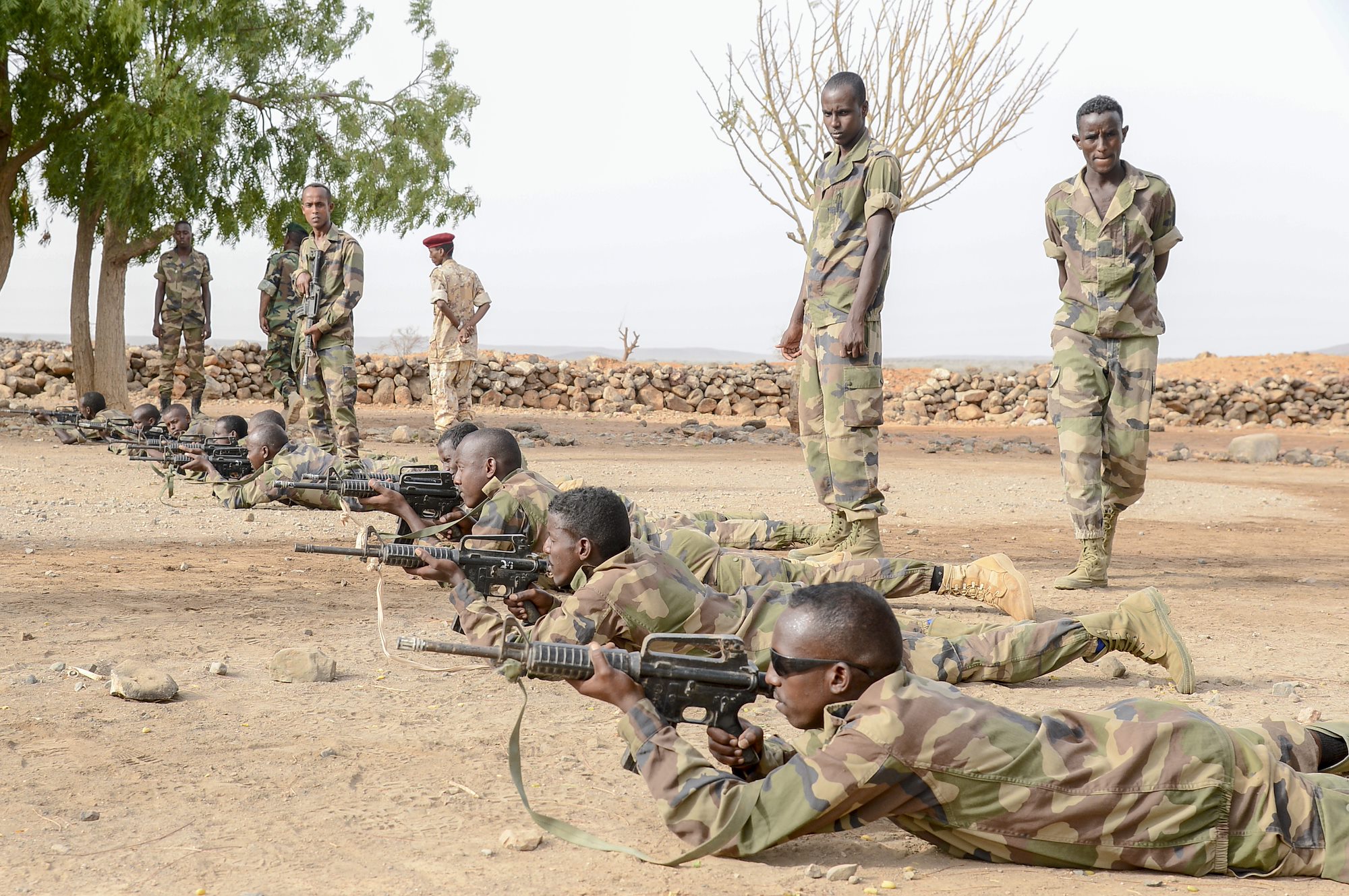 CJTF-HOA Reinforces Commitment to Djibouti’s Rapid Intervention Battalion