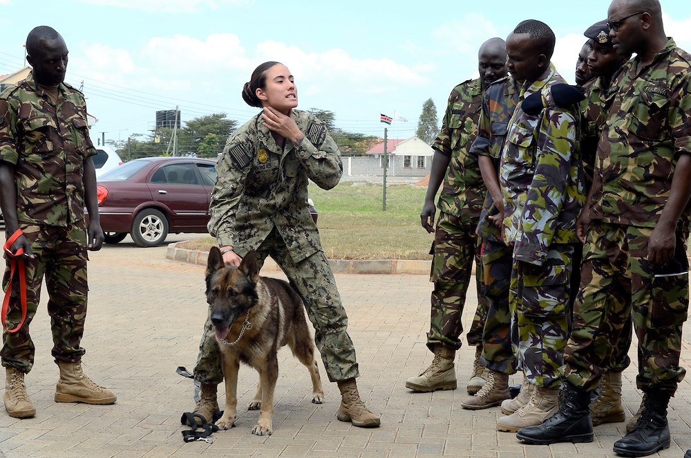 CJTF-HOA shares canine experience, knowledge with Kenya Defence Force