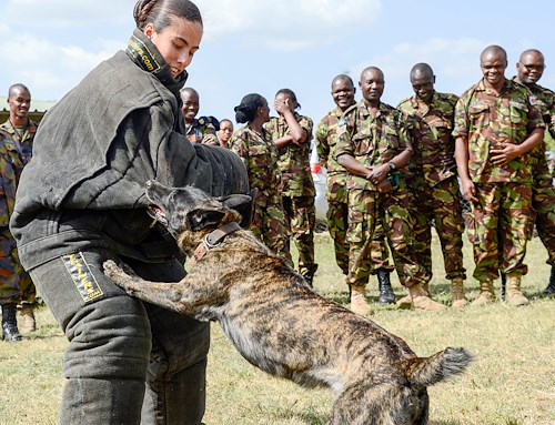 CJTF-HOA shares canine experience, knowledge with Kenya Defence Force