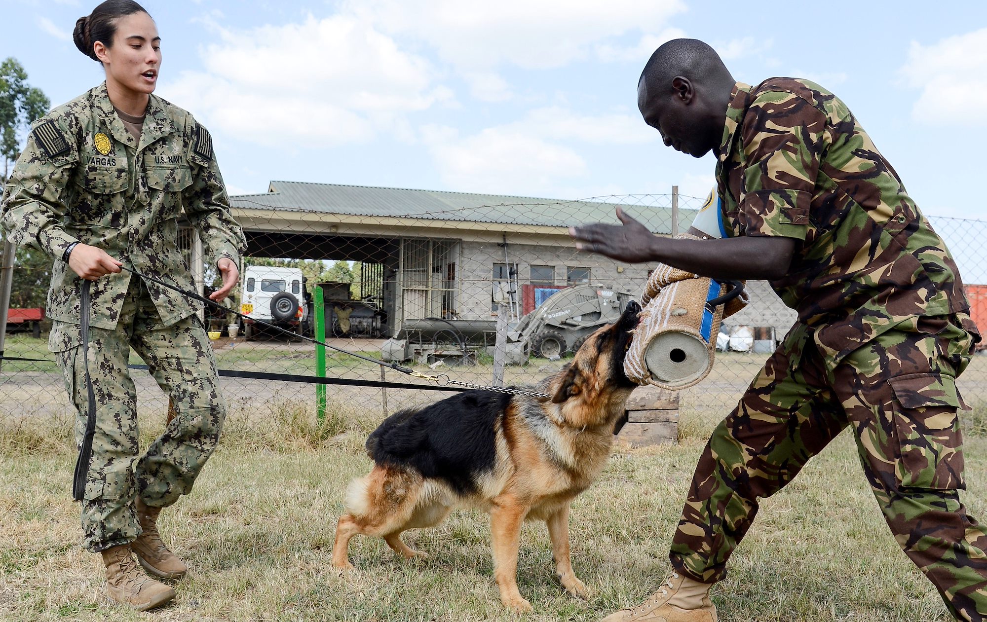 CJTF-HOA shares canine experience, knowledge with Kenya Defence Force
