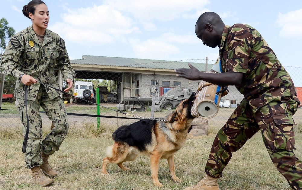 CJTF-HOA shares canine experience, knowledge with Kenya Defence Force