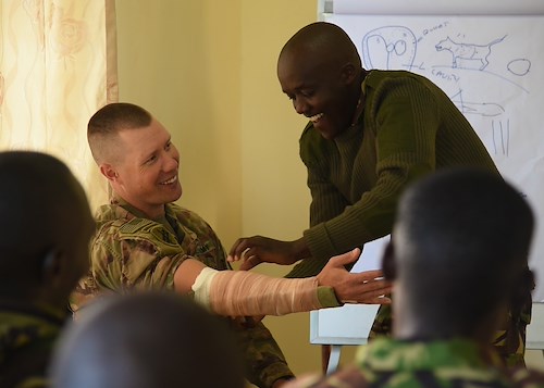 Kenya Defence Forces, U.S. canine handlers exchange knowledge