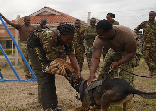 Kenya Defence Forces, U.S. canine handlers exchange knowledge