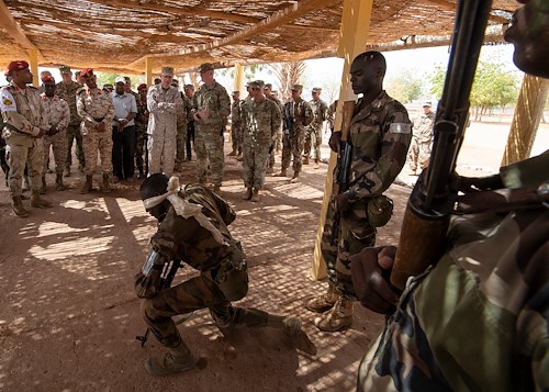 AFRICOM commander, Djiboutian CHOD observe Rapid Intervention Battalion 
