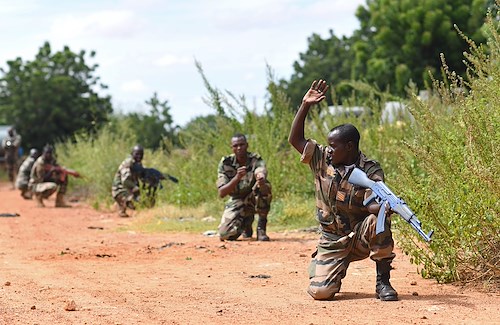 U.S. advisors train with Nigerien forces