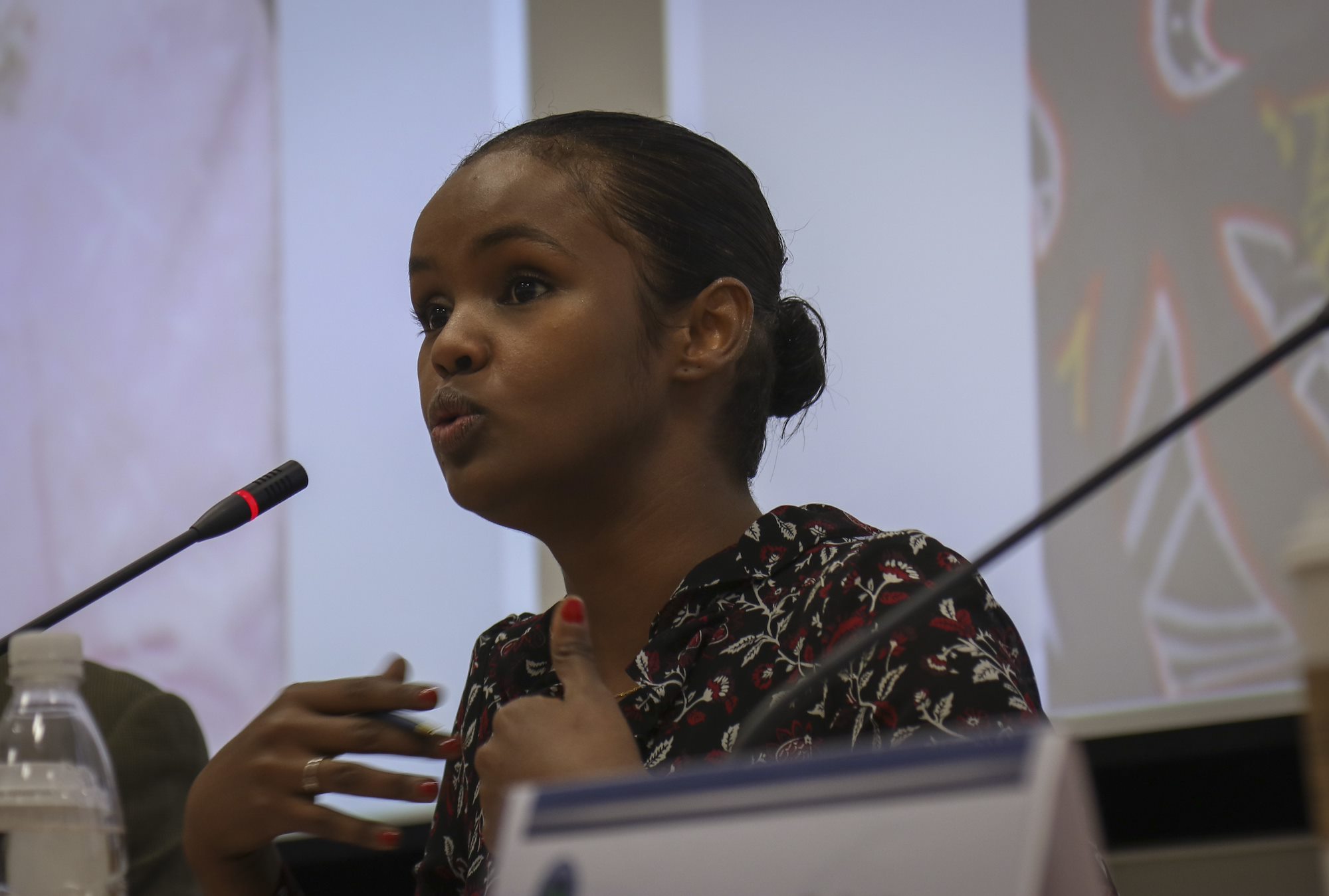 Youth, Peace &amp; Security panel