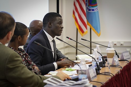 Youth, Peace &amp; Security panel