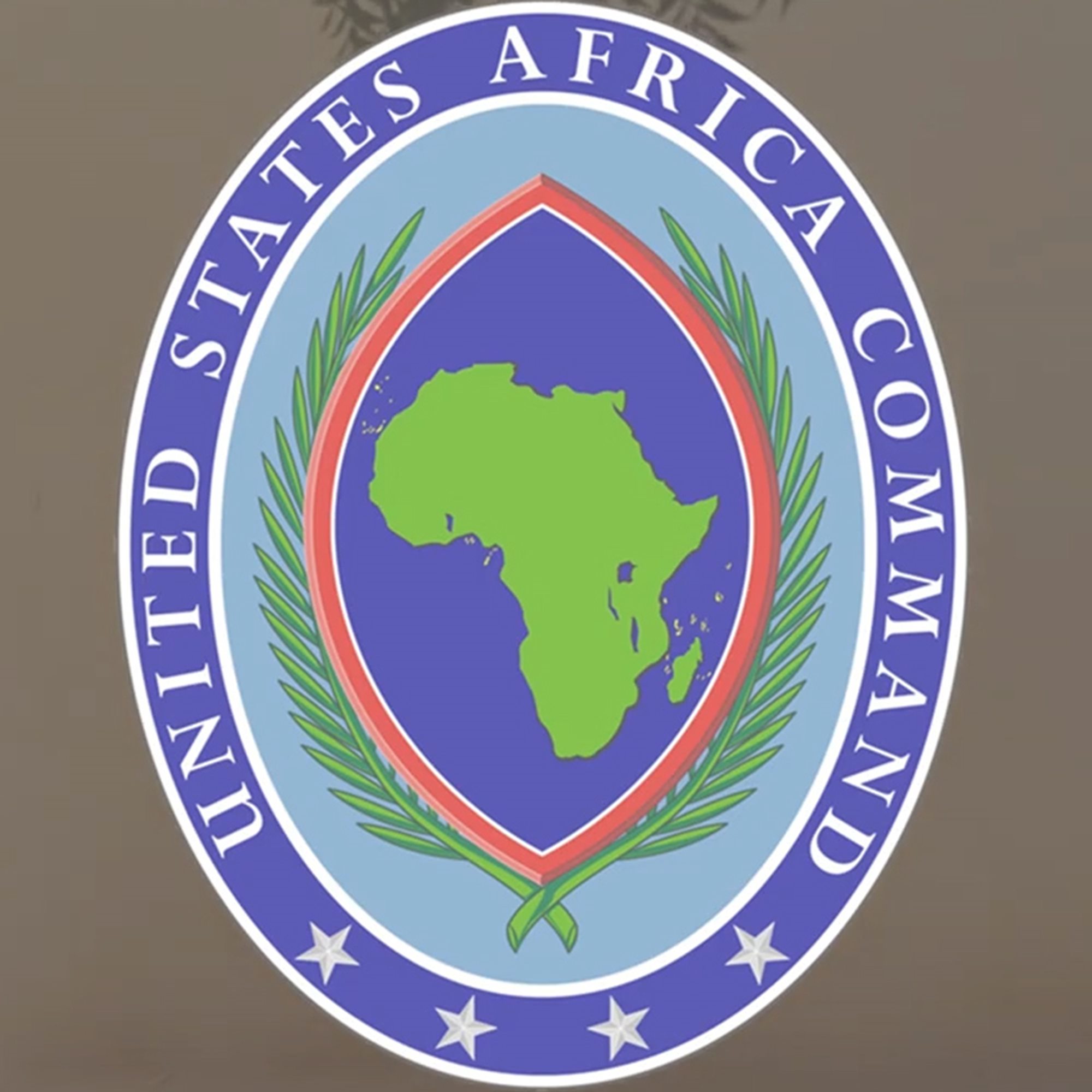 Civilian Casualty Report and Allegations