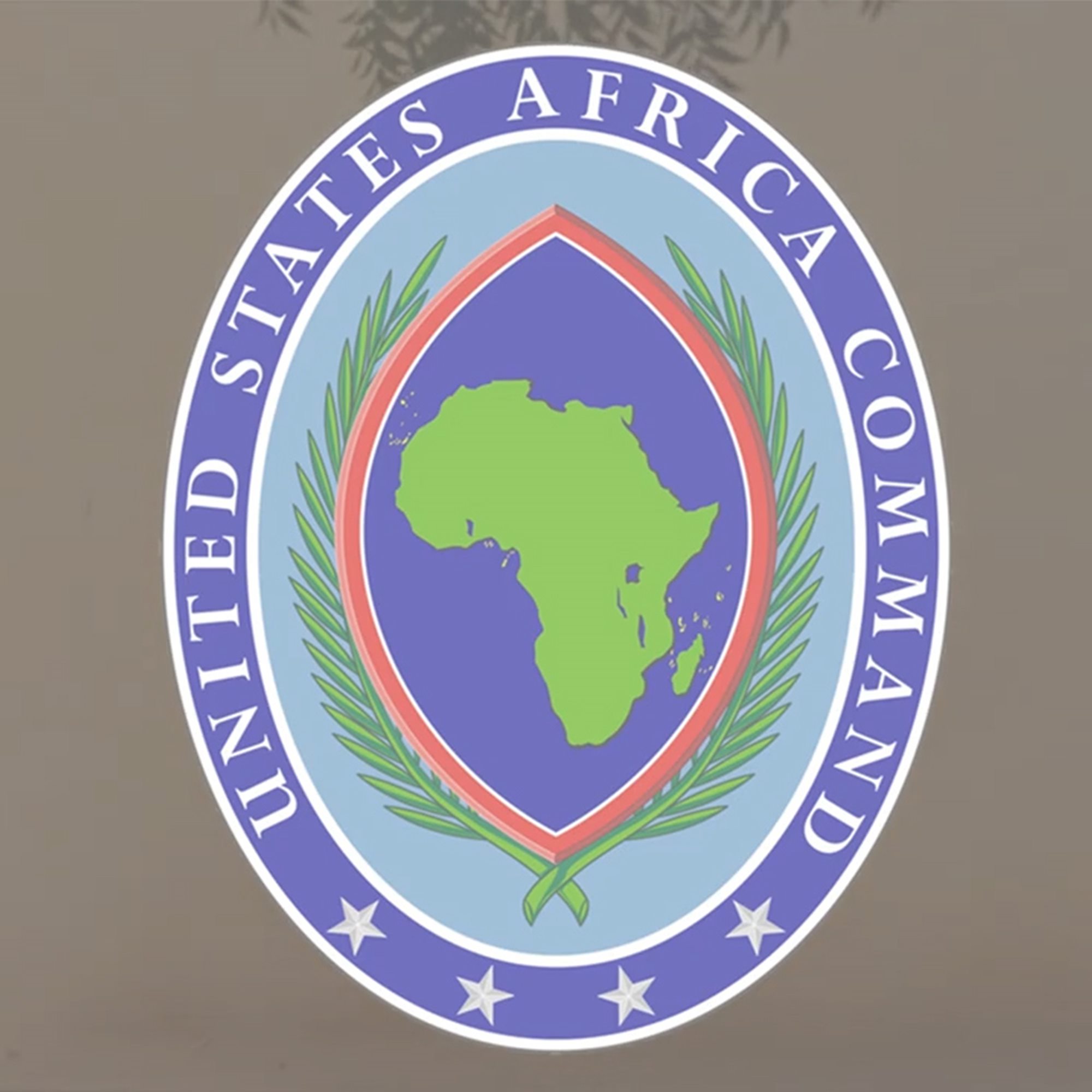 Civilian Casualty Report and Allegations