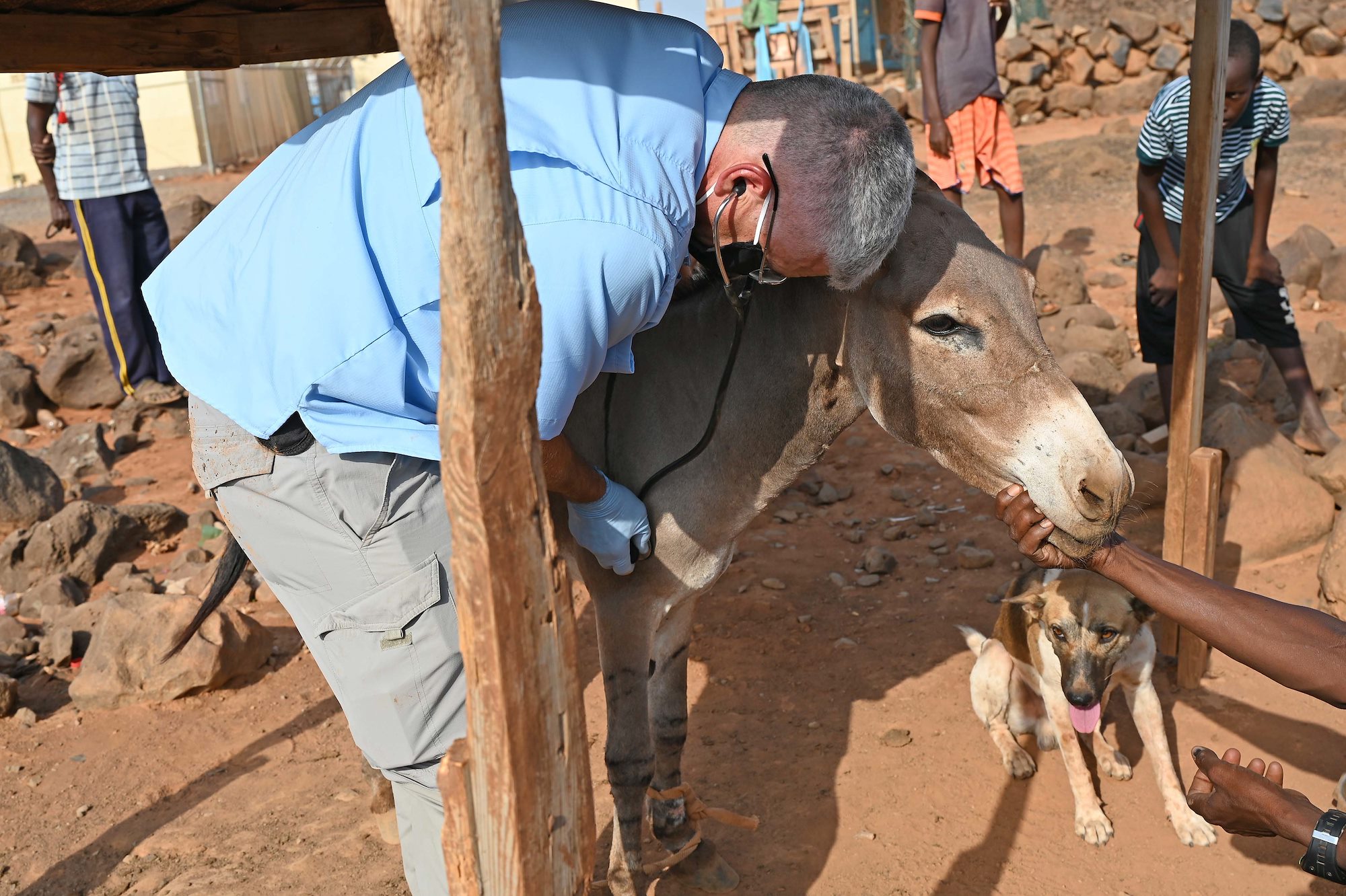 U.S., Djiboutian veterinarians partner to treat local livestock