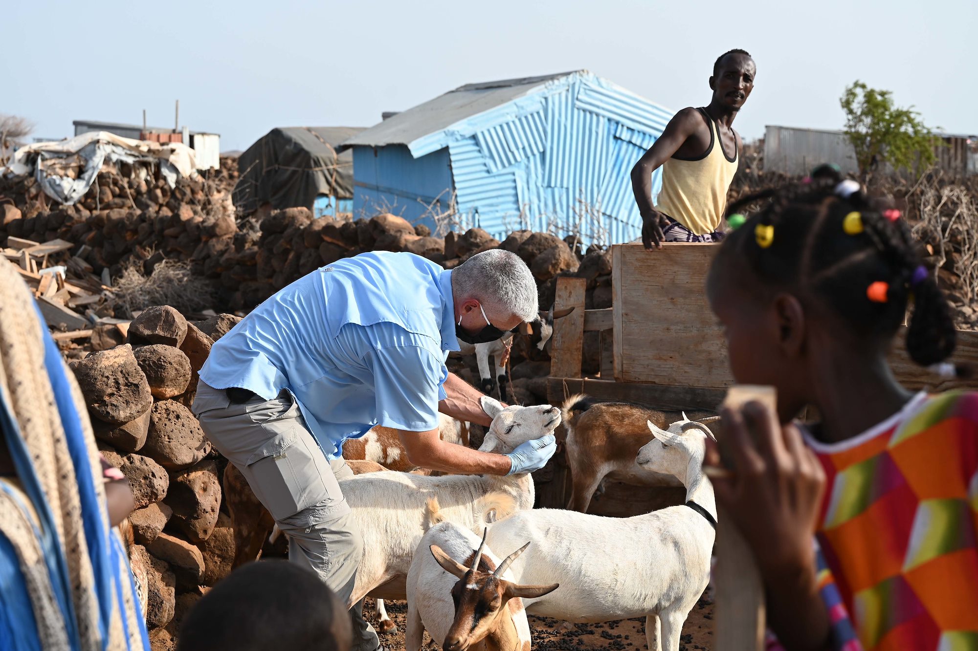 U.S., Djiboutian veterinarians partner to treat local livestock