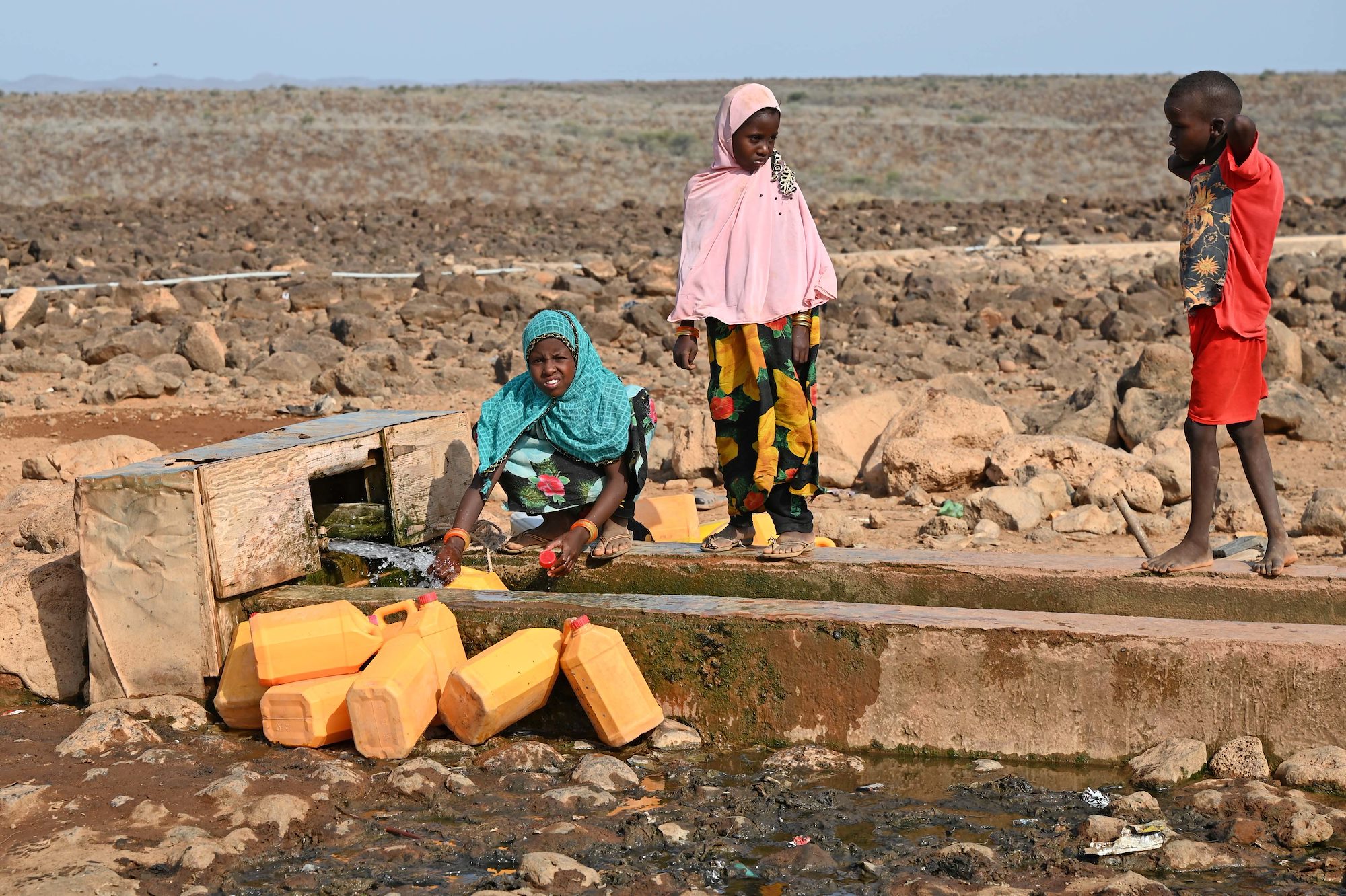 U.S., Djiboutian veterinarians partner to treat local livestock