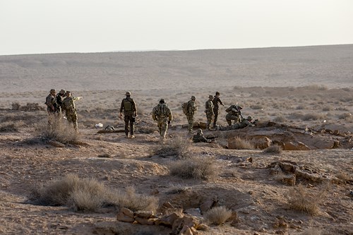 U.S., Tunisian forces rehearse live-fire exercise at African Lion 2022