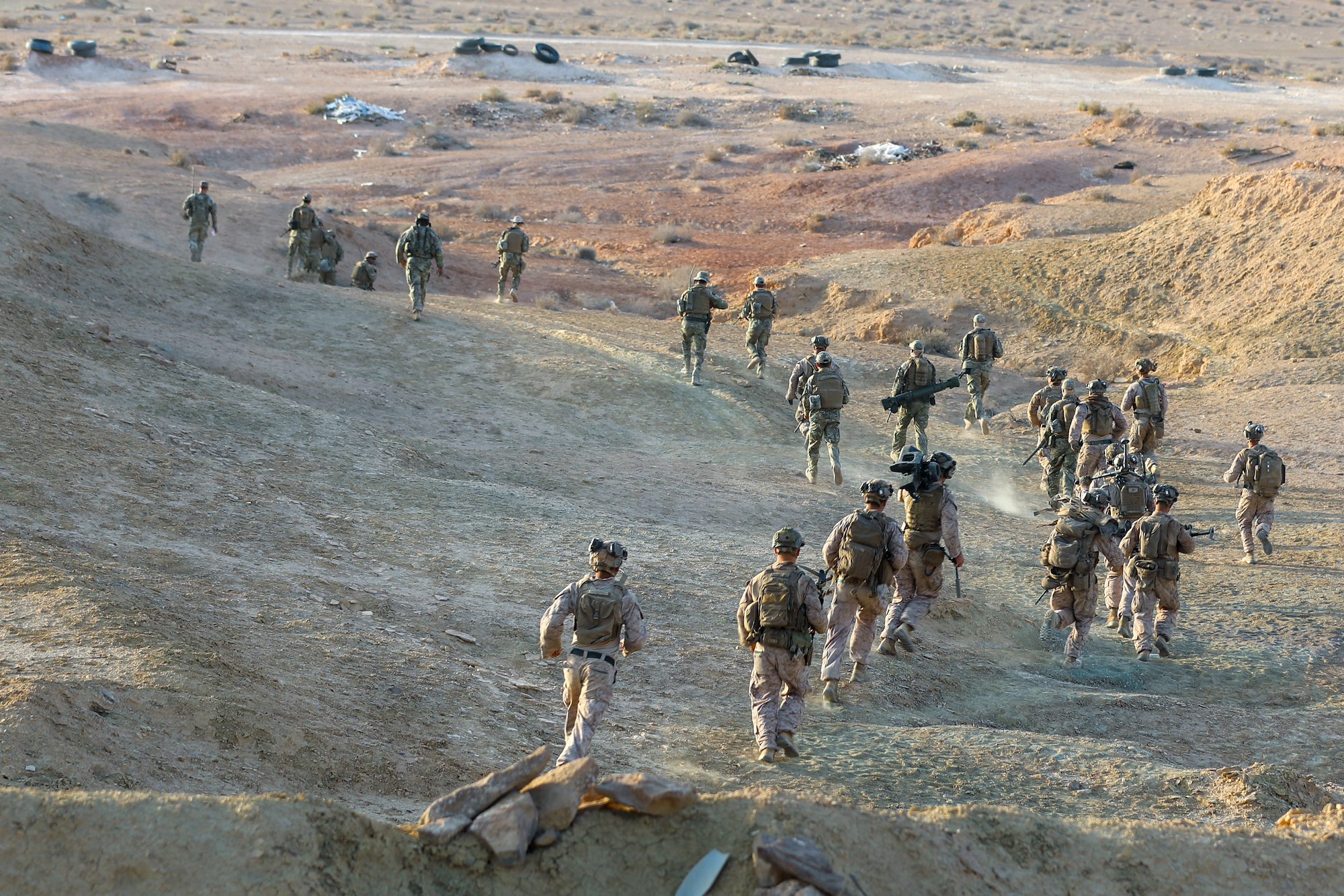 U.S. Army Southern European Task