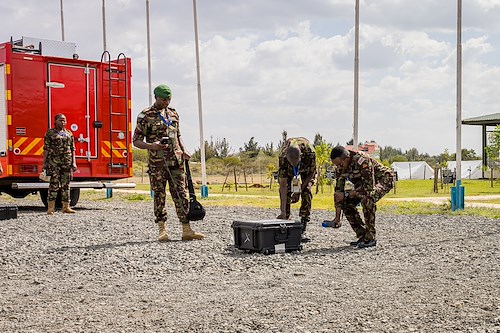 U.S. Army Southern European Task