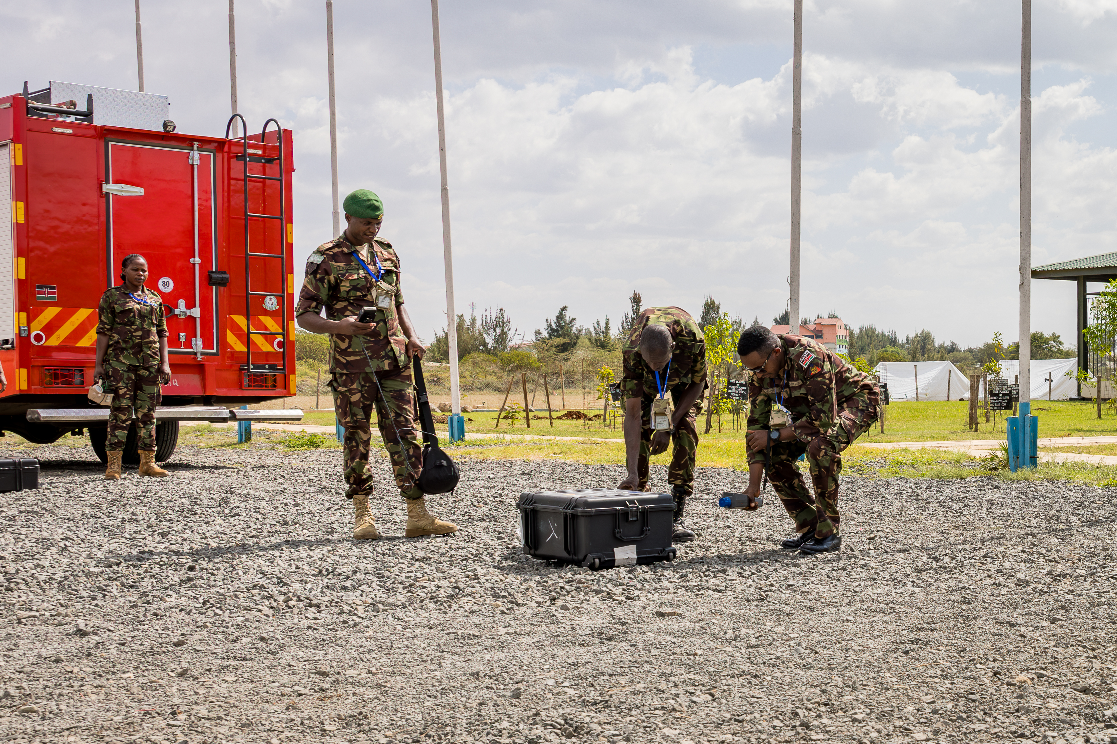 U.S. Army Southern European Task