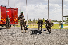 U.S. Army Southern European Task