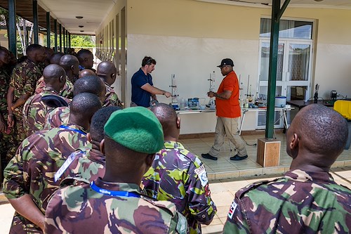 U.S. Army Southern European Task