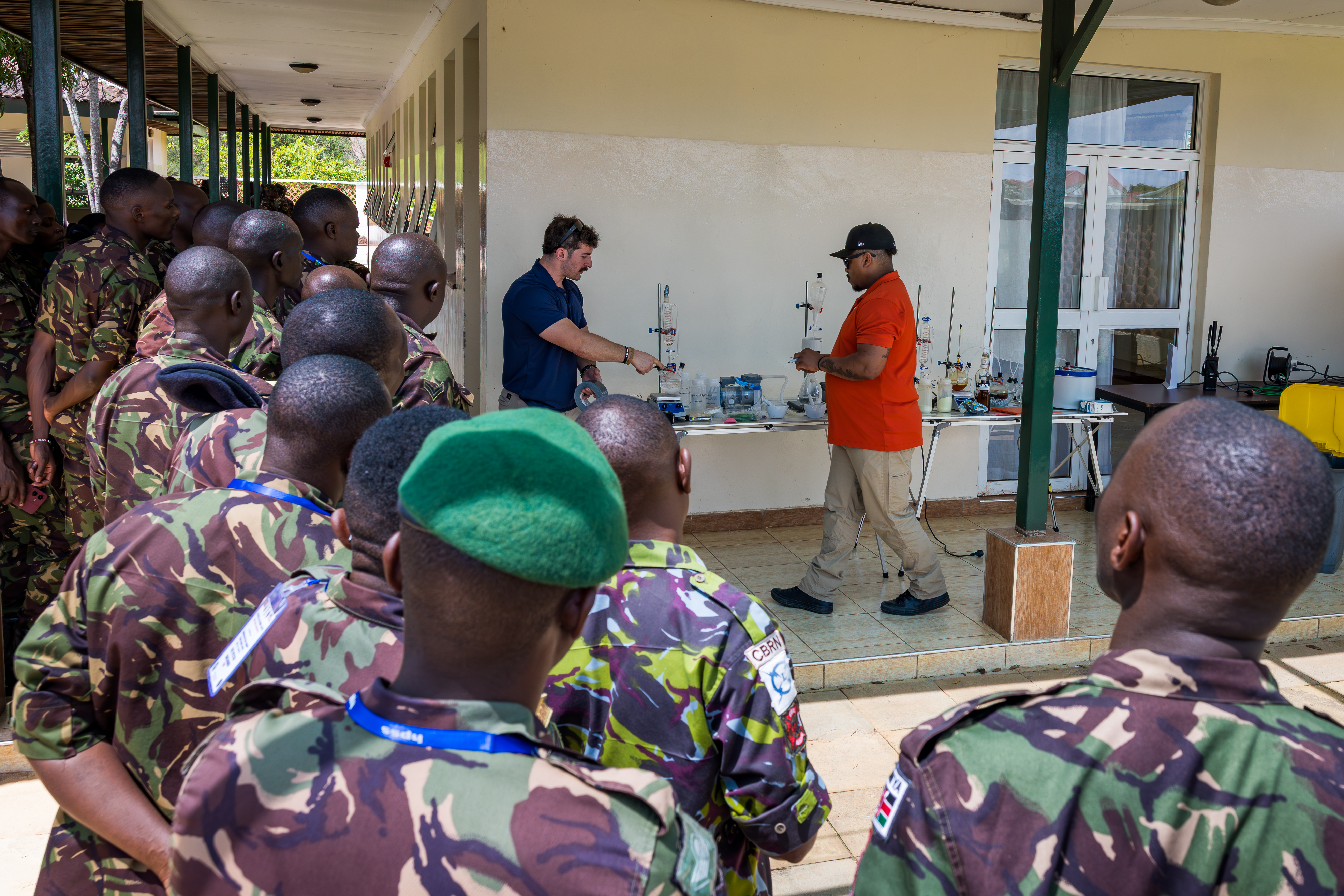 U.S. Army Southern European Task