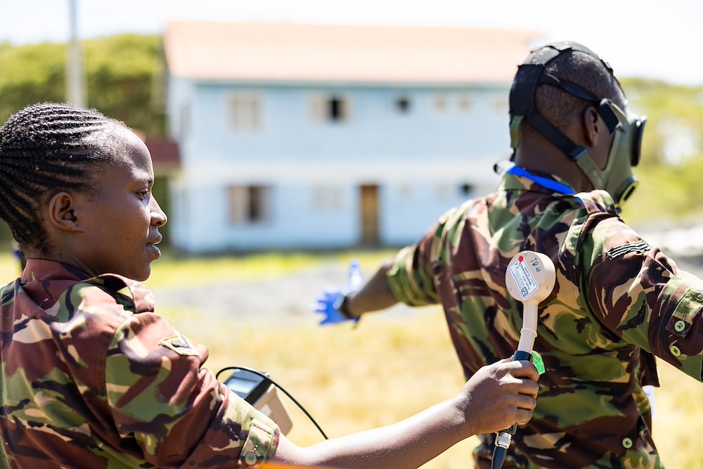 U.S. Army Southern European Task