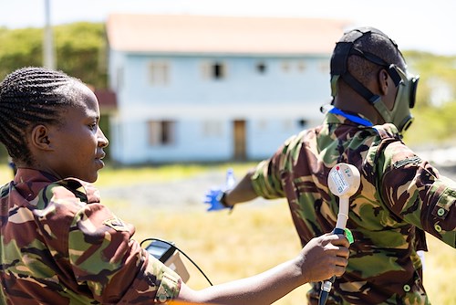 U.S. Army Southern European Task