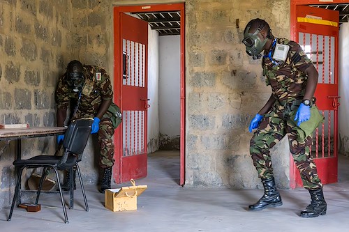 U.S. Army Southern European Task