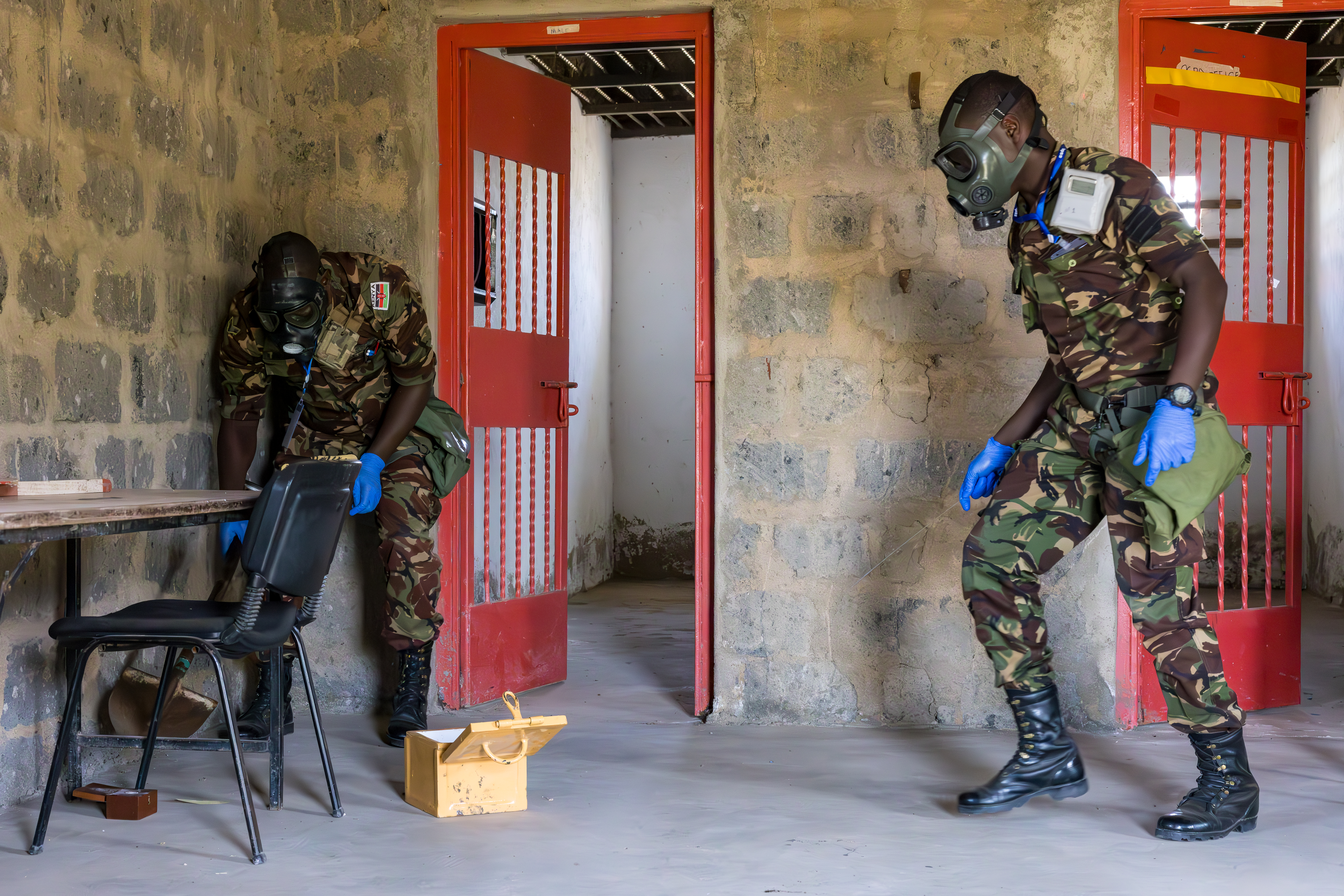 U.S. Army Southern European Task