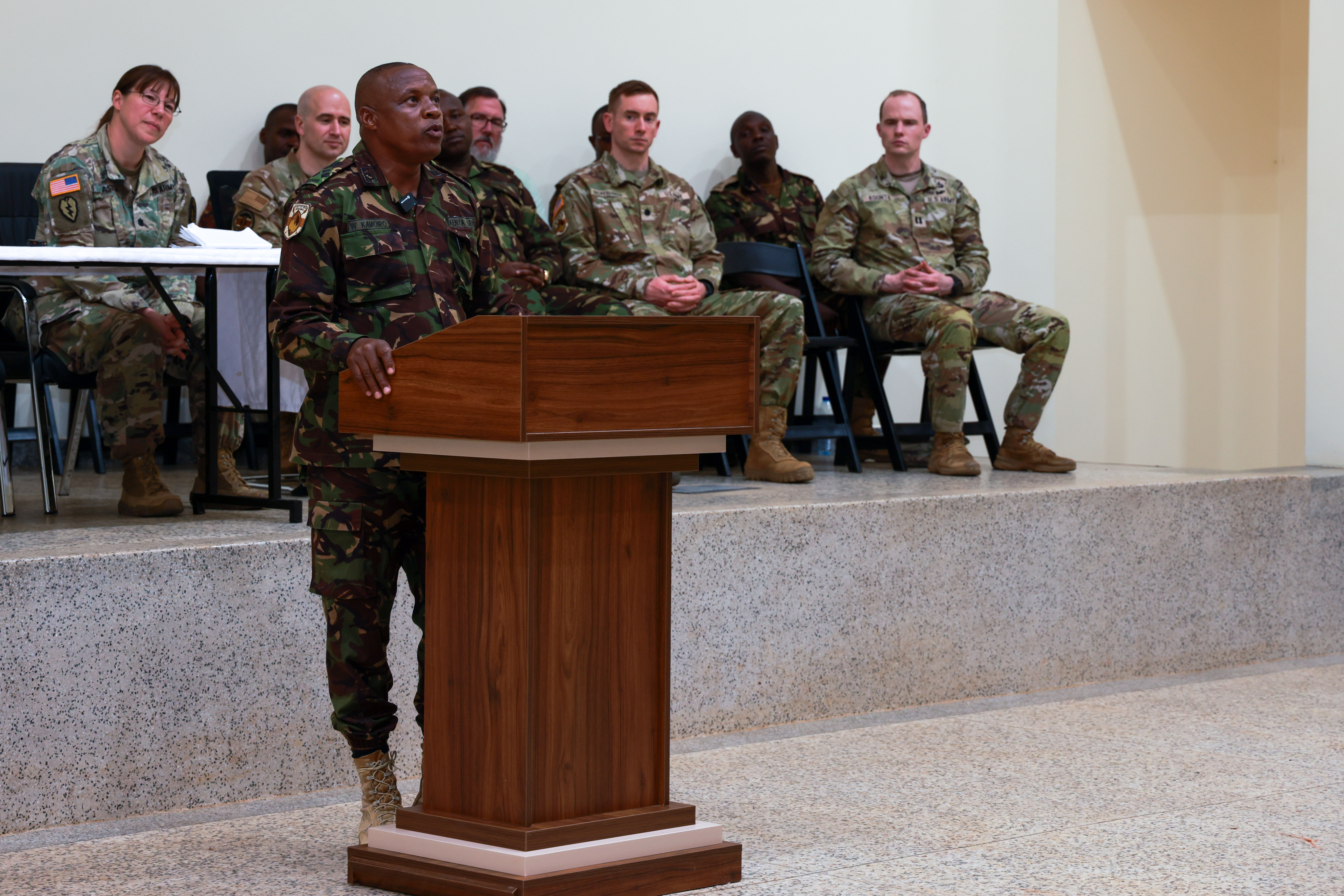 U.S. Army Southern European Task