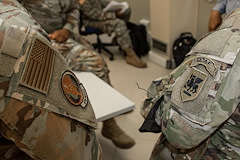 U.S. Army Southern European Task