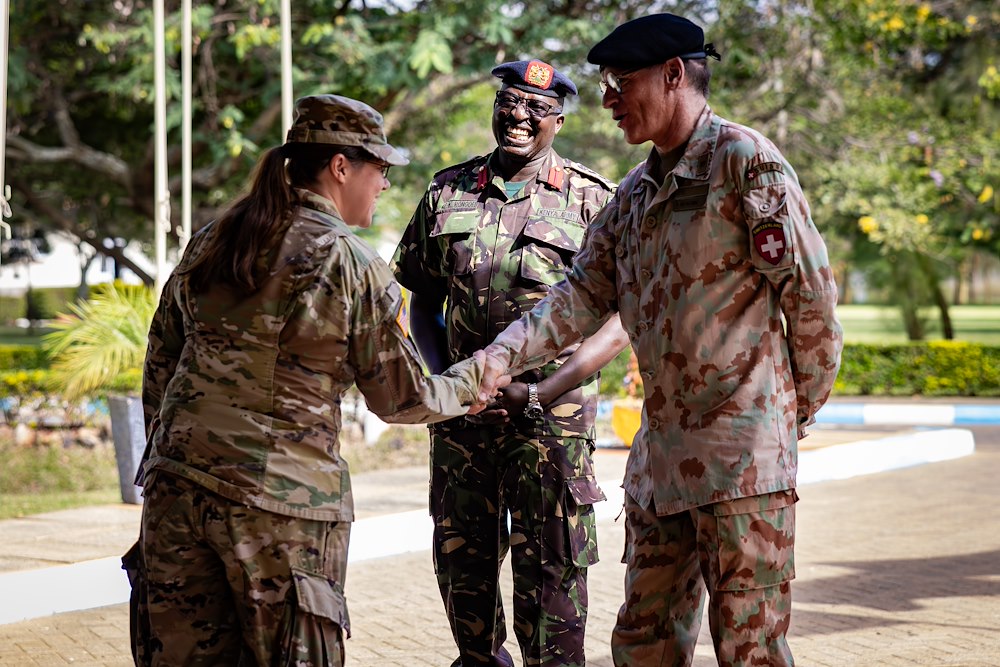 U.S. Army Southern European Task