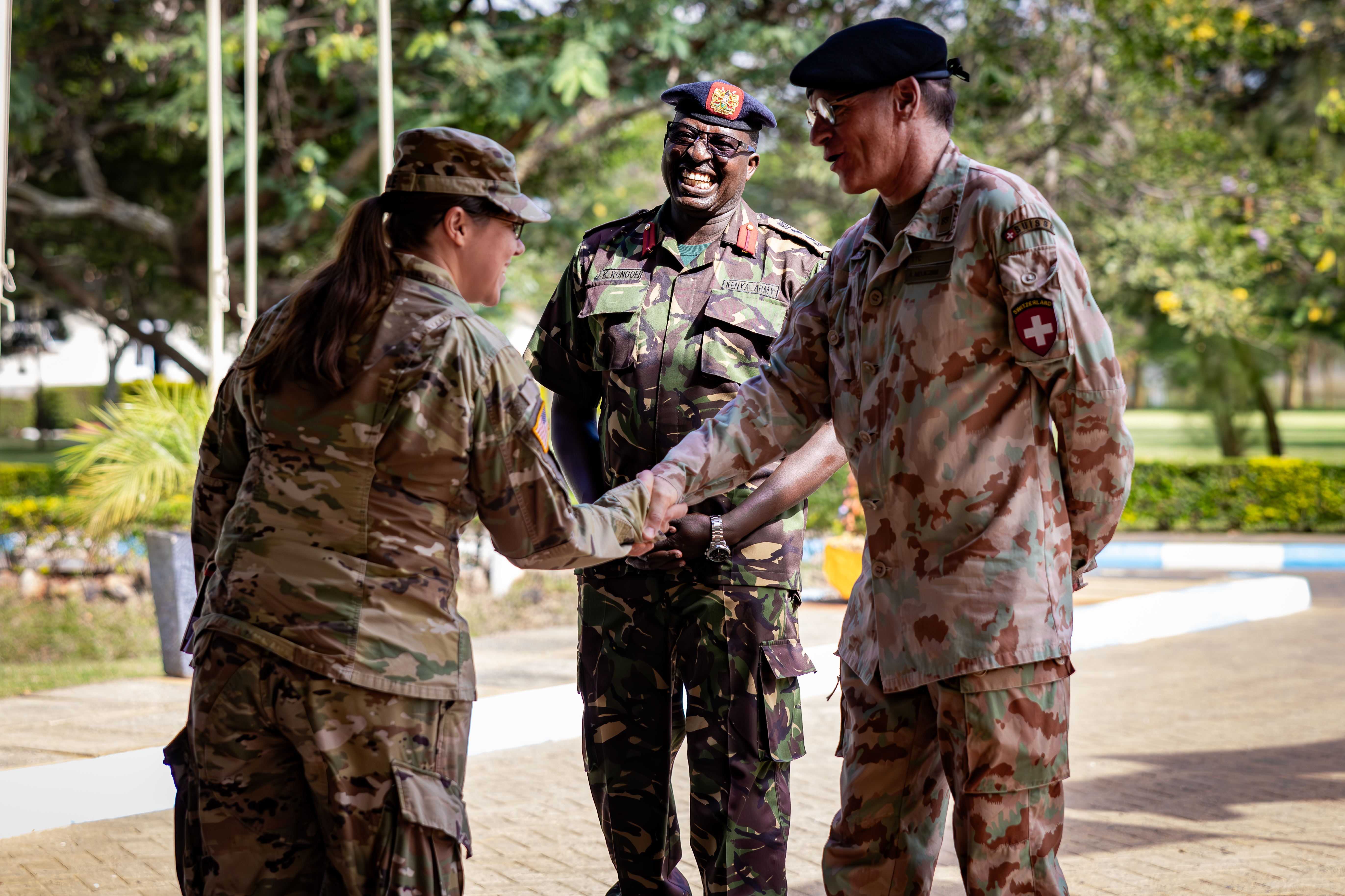 U.S. Army Southern European Task