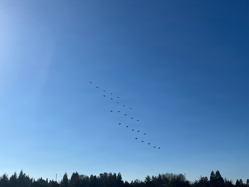 AFRICOM explores drone swarm technology to counter emerging threats